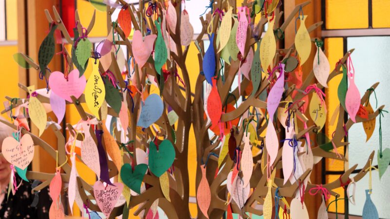 A craft tree covered in small pieces of colourful paper to resemble leaves on which prayers are written.