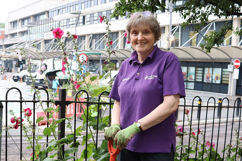 A volunteer, outdoors, looking after the hospital gardens
